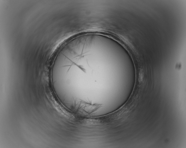 X0000115311356200911161711