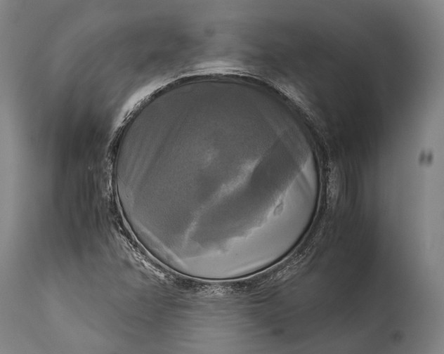 X0000115311358200911161711