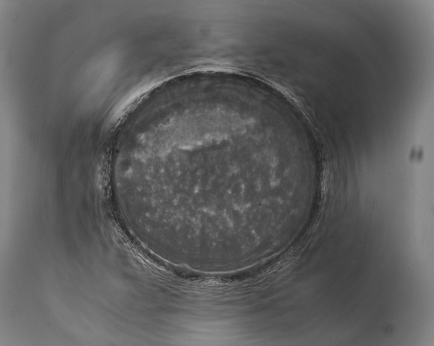 X0000115311359200911161711