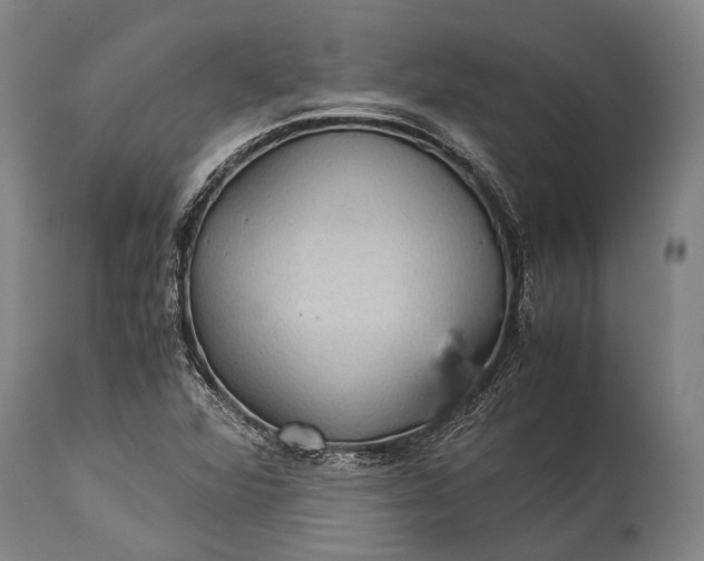 X0000115311360200911161711