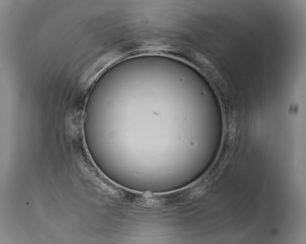 X0000115311361200911161711