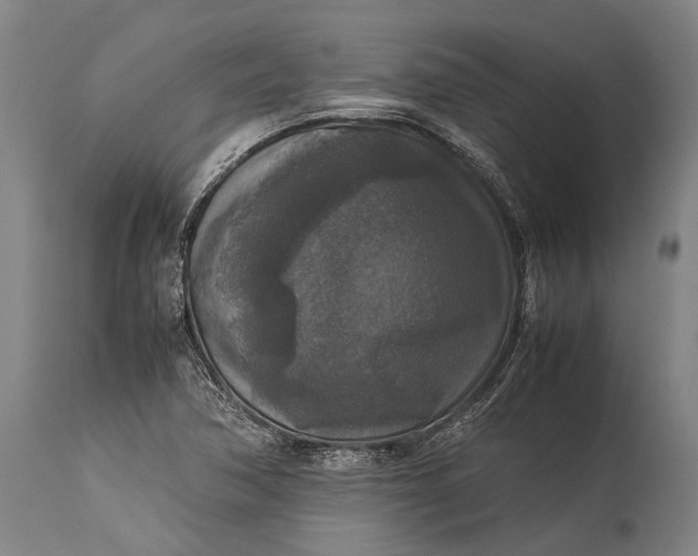 X0000115311362200911161711