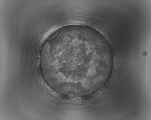 X0000115311363200911161711