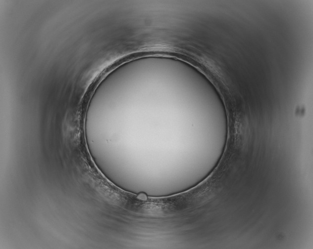 X0000115311364200911161711