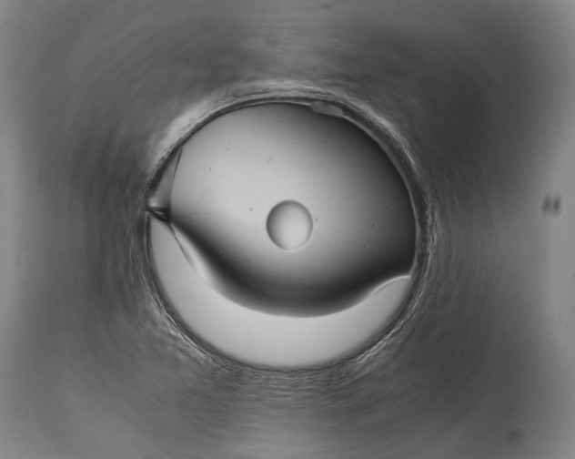 X0000115311365200911161711