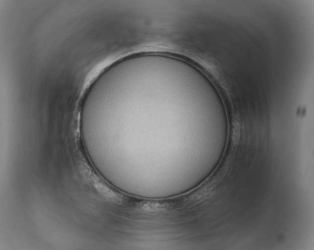 X0000115311366200911161711