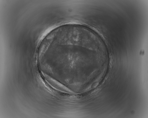 X0000115311367200911161711