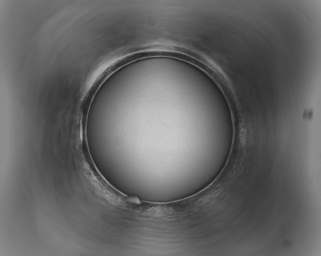 X0000115311368200911161711