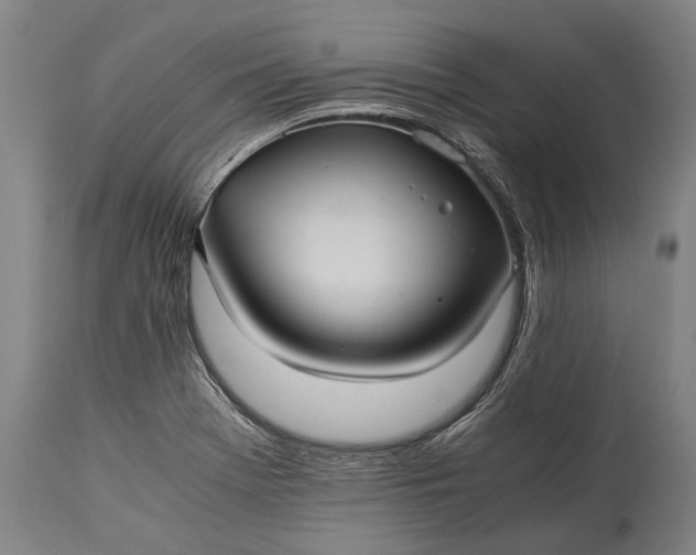 X0000115311369200911161711