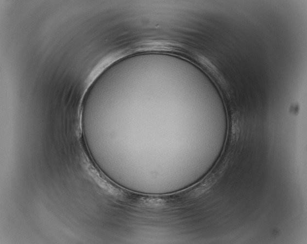 X0000115311370200911161711