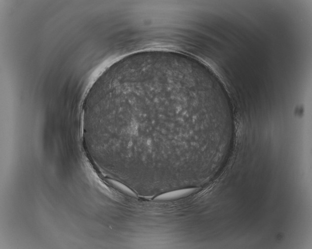 X0000115311371200911161711