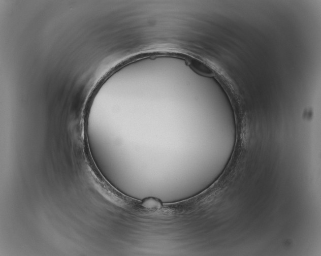 X0000115311372200911161711