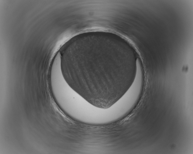 X0000115311373200911161711