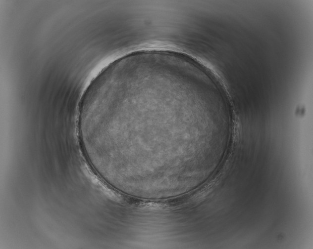 X0000115311374200911161711