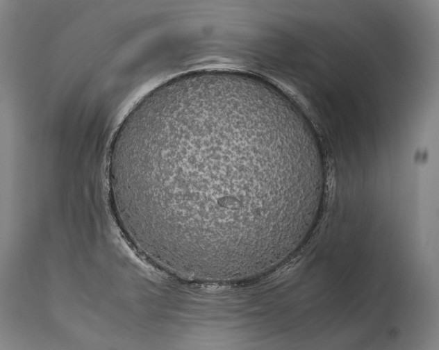 X0000115311375200911161711