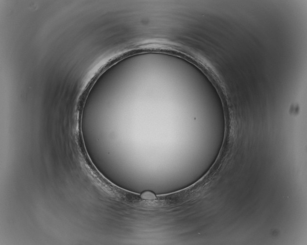 X0000115311376200911161711