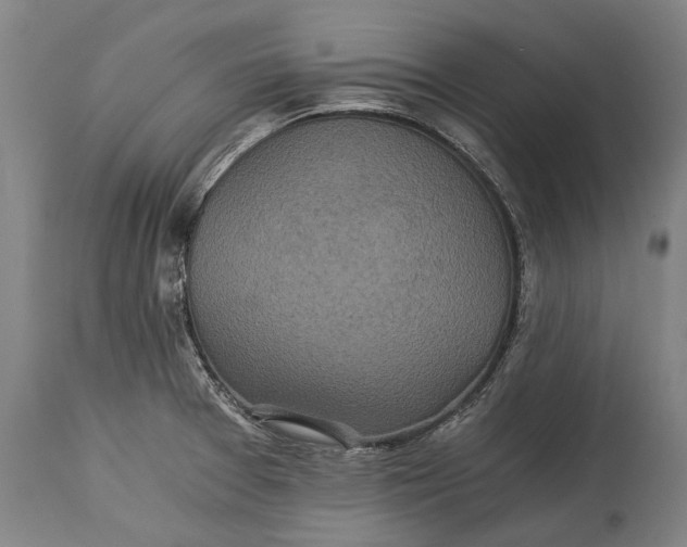 X0000115311377200911161711