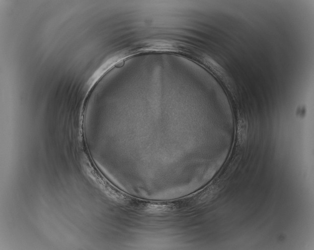 X0000115311378200911161711