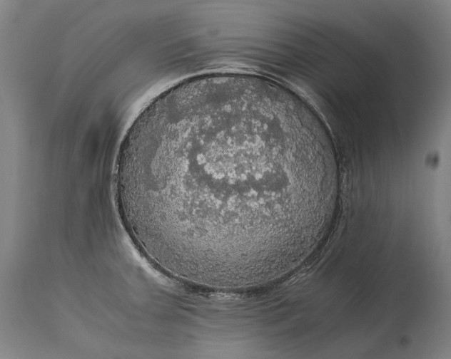 X0000115311379200911161711