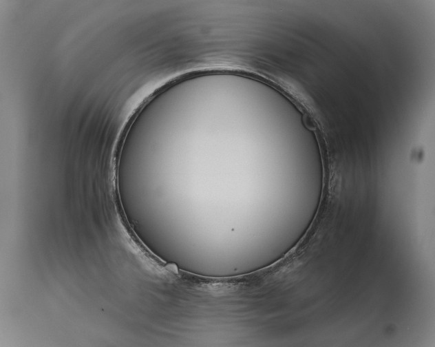 X0000115311380200911161711