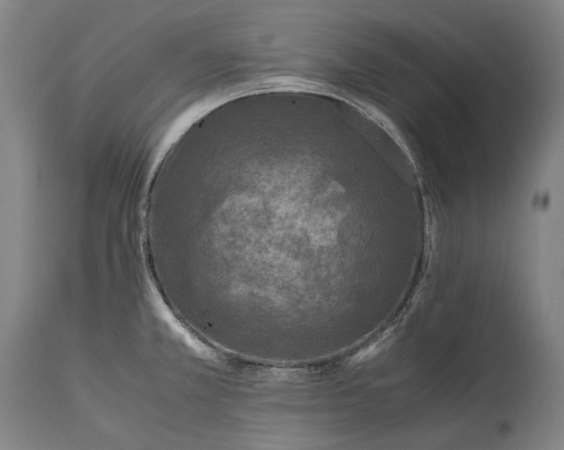 X0000115311381200911161711