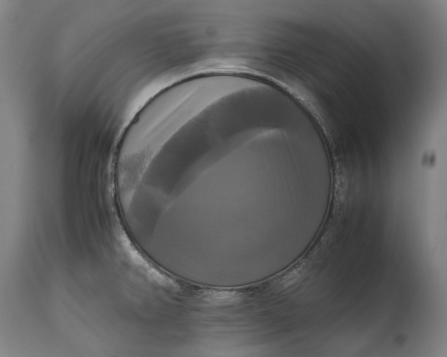 X0000115311382200911161711