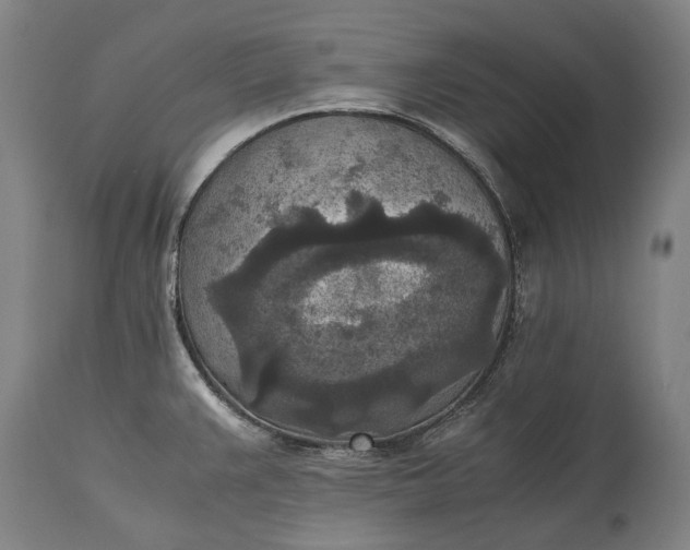 X0000115311383200911161711