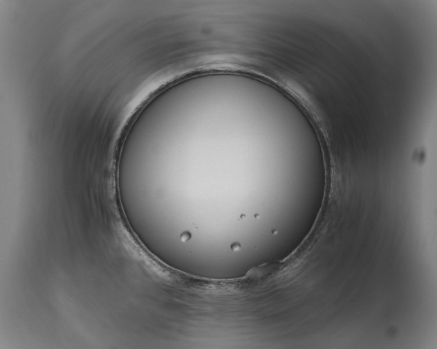 X0000115311384200911161711