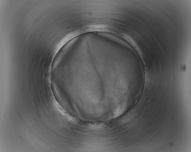 X0000115311386200911161711