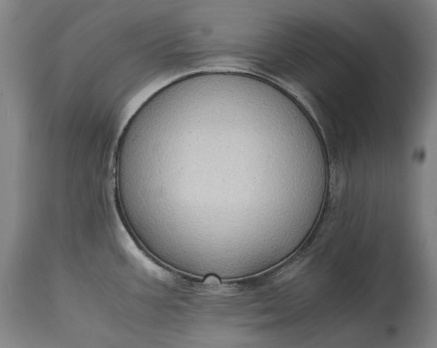 X0000115311387200911161711