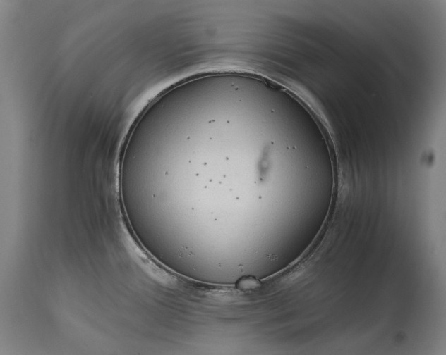 X0000115311388200911161711