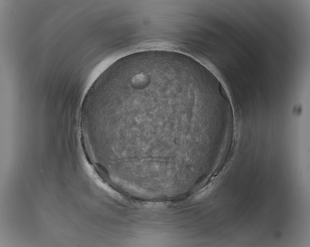 X0000115311389200911161711