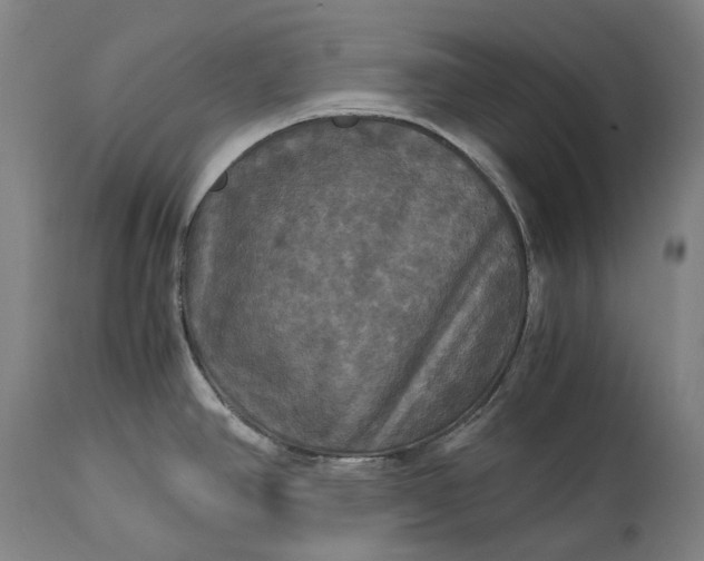 X0000115311390200911161711