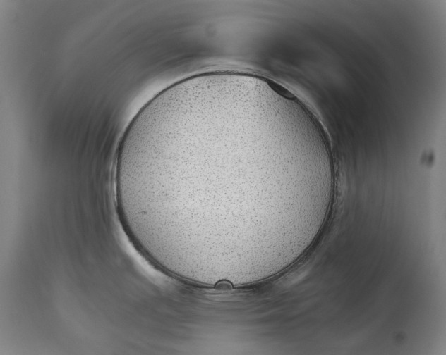 X0000115311391200911161711