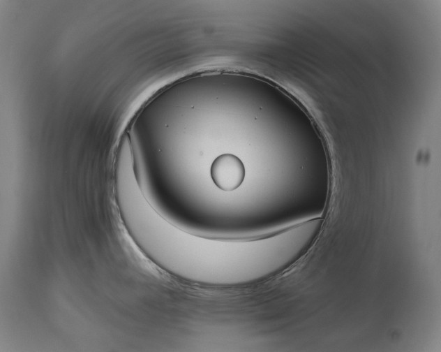 X0000115311392200911161711