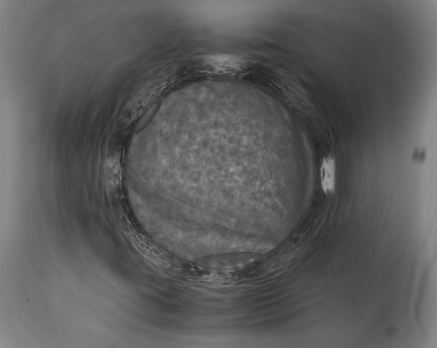 X0000115311395200911161710