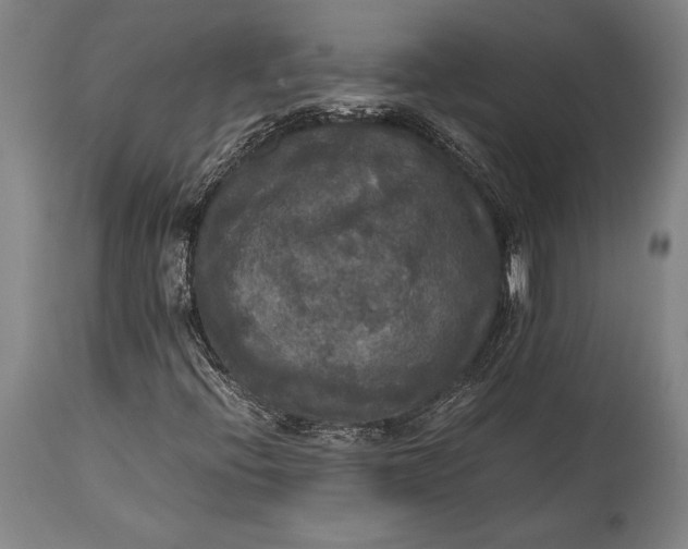 X0000115311396200911161710