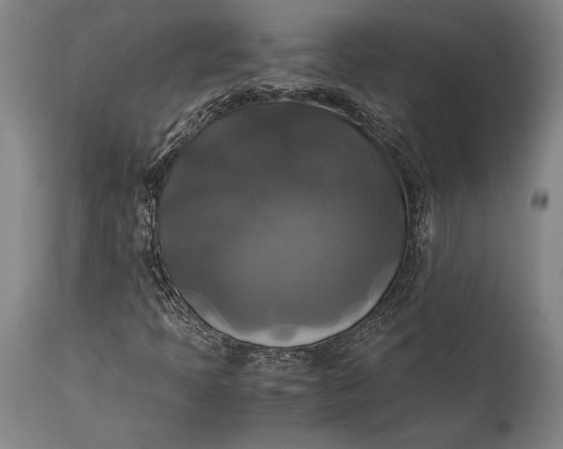 X0000115311397200911161710