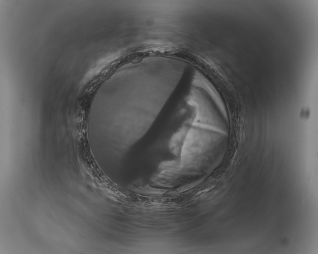 X0000115311399200911161710