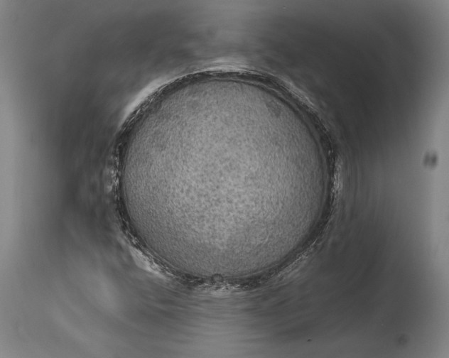 X0000115311400200911161710