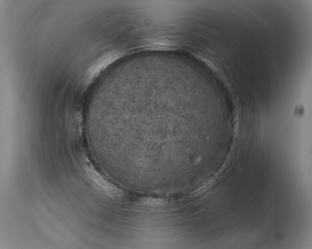 X0000115311402200911161710