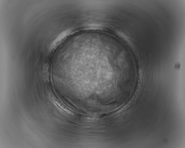 X0000115311403200911161710