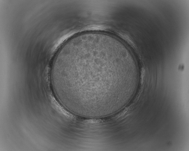 X0000115311404200911161710