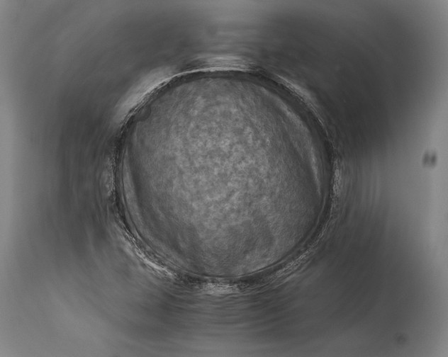 X0000115311407200911161710