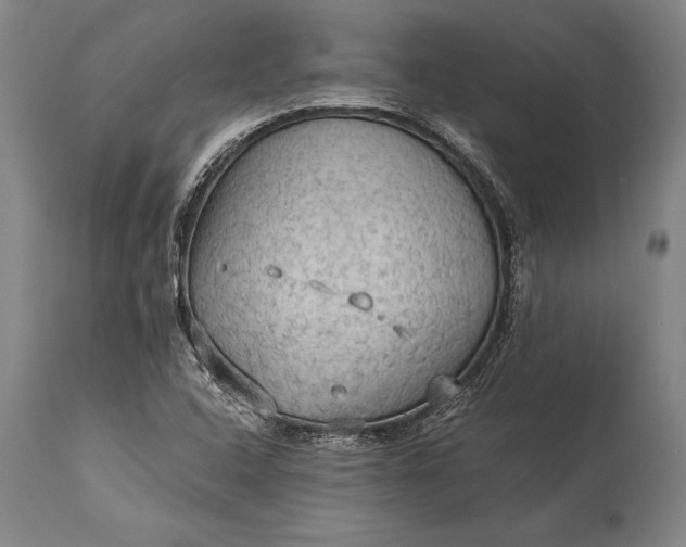 X0000115311408200911161710