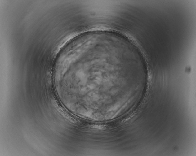 X0000115311409200911161710