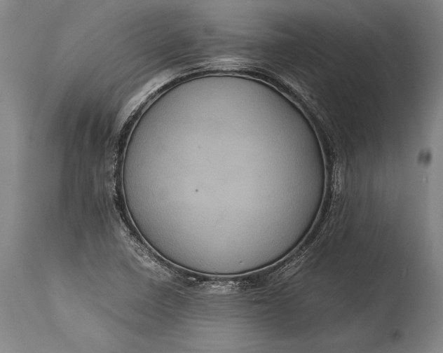 X0000115311410200911161710