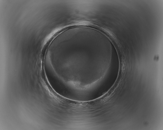 X0000115311414200911161710