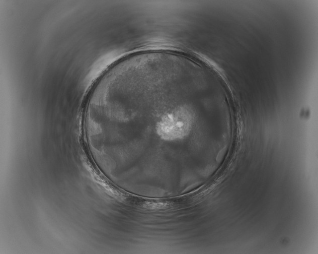 X0000115311415200911161710