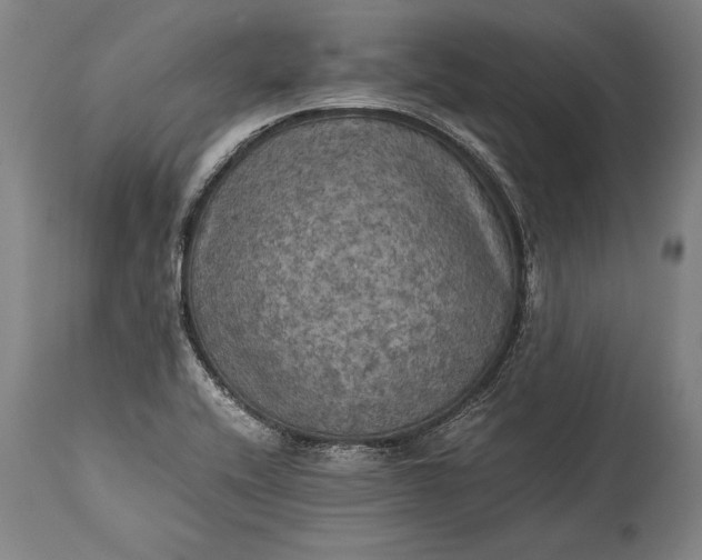 X0000115311416200911161710